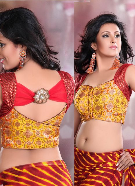 Body Designs  Back Styles blouse Saree  Blouse design Neck back saree