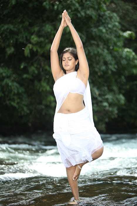 Meghana Raj  in white saree - navel - Meghana Raj White Saree Hot Pics