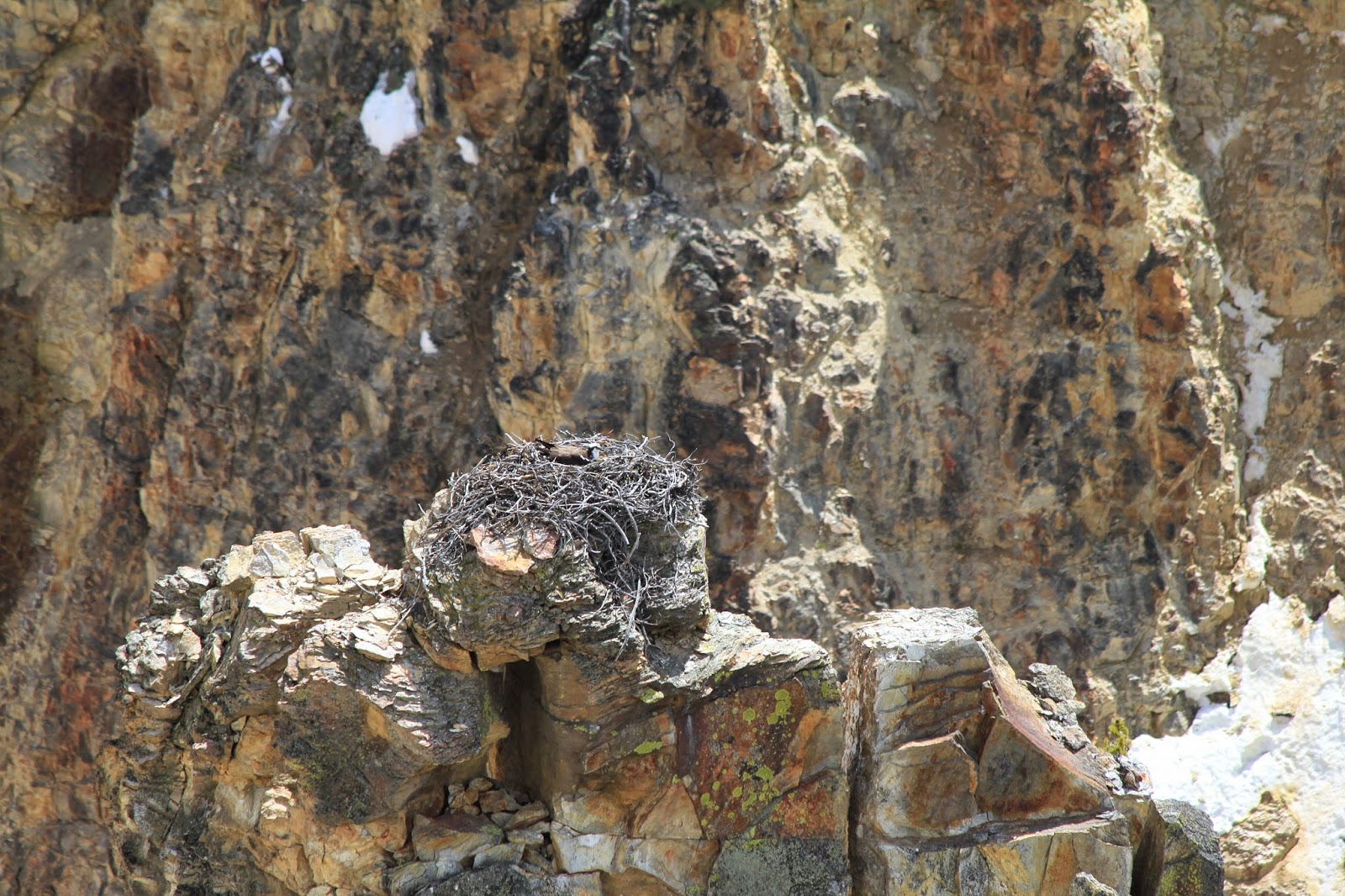 Yellowstone
