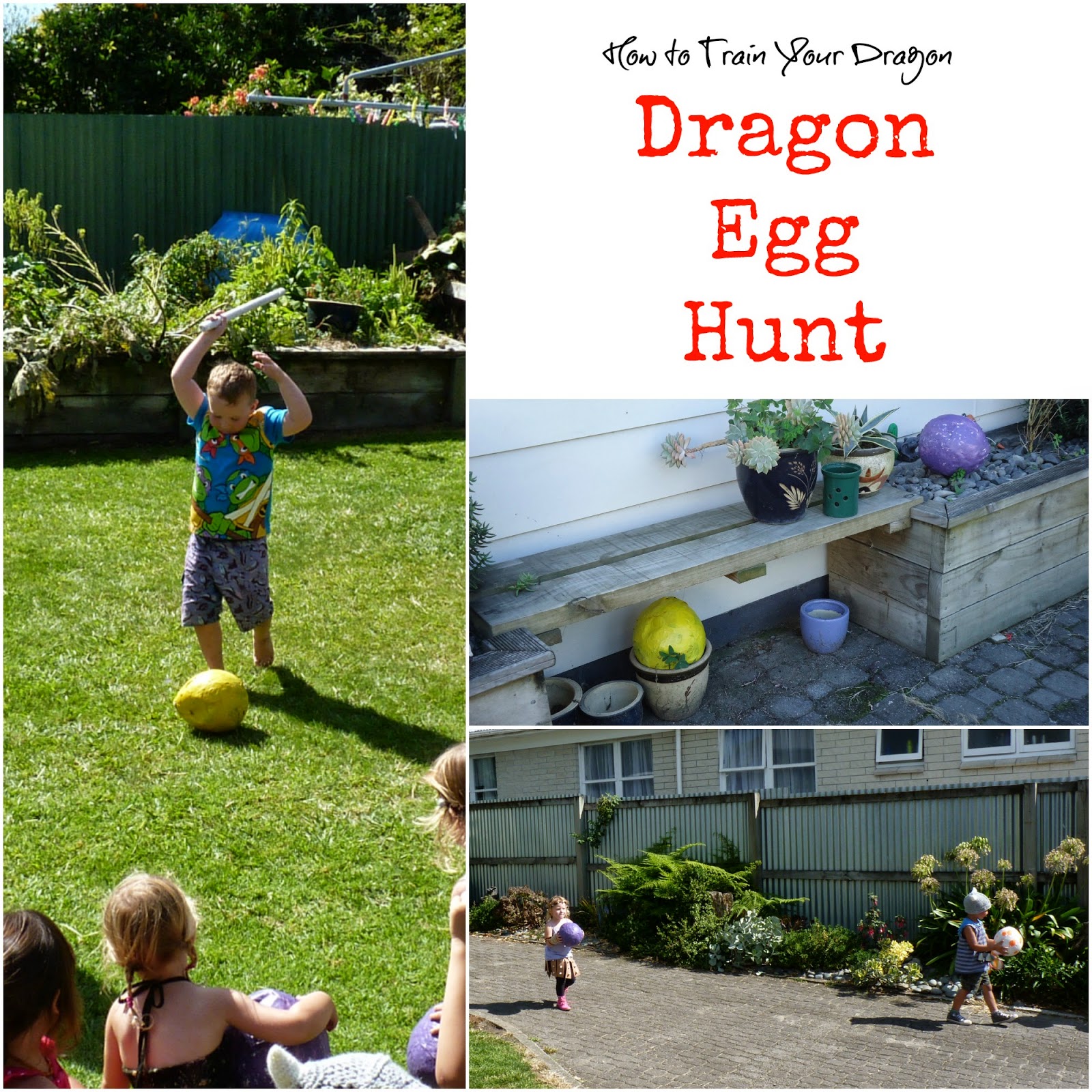A Little Slice of Home How to Train Your Dragon Dragon Eggs