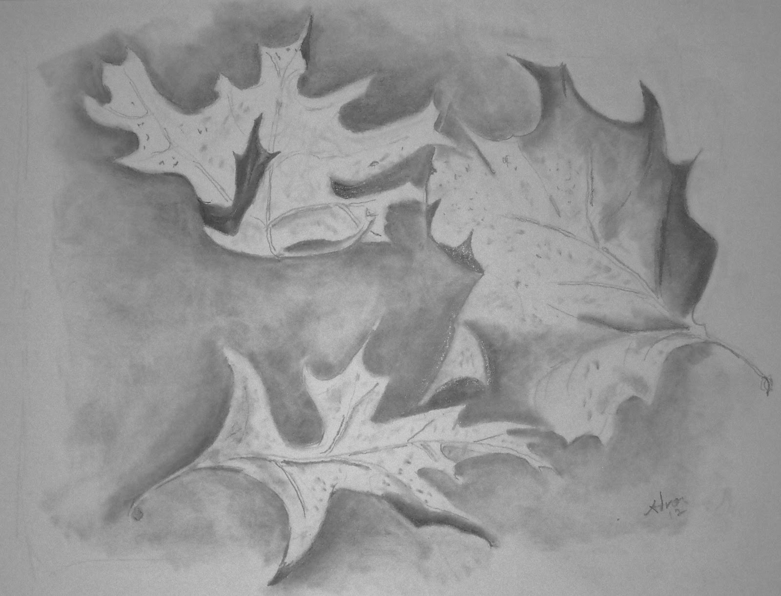Artist Adron Autumn Leaves Drawing in Pencil and Charcoal
