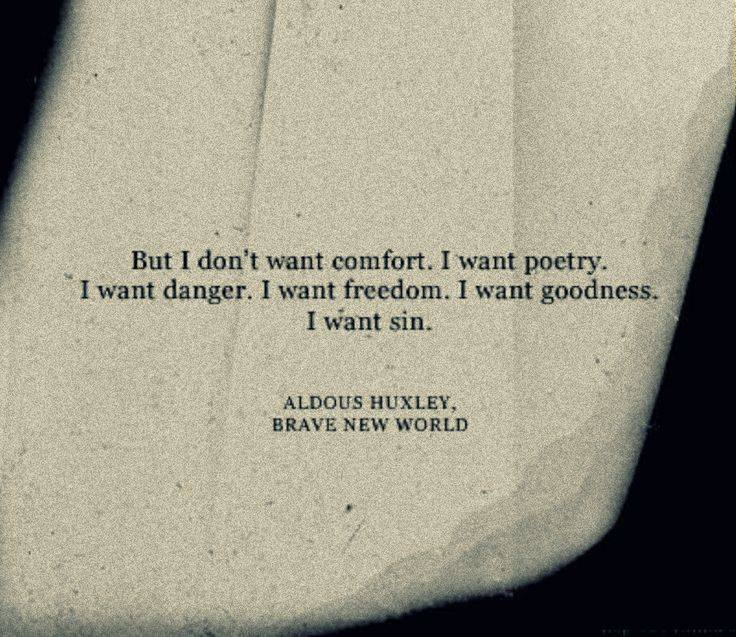 Die Windschiefen 2015