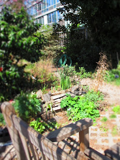  New York _Community Garden