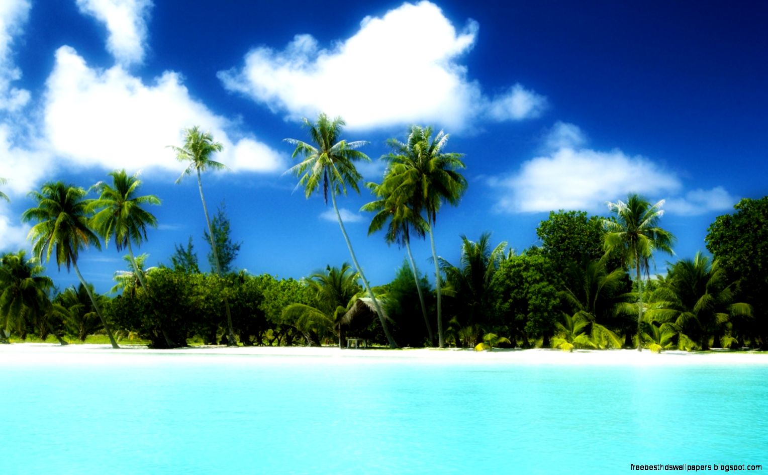 Tropical Wallpaper Widescreen Amazing Wallpapers 1680x1050PX Tropical Wallpaper Widescreen Amazing Wallpapers 1680x1050PX