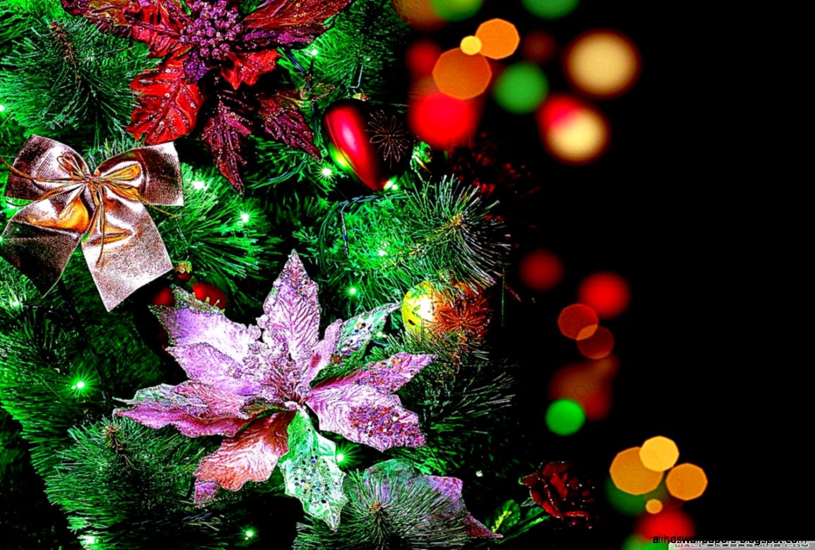 Beautiful Holiday Wallpaper Best Free HD Wallpaper Beautiful Holiday Wallpaper Best Free HD Wallpaper