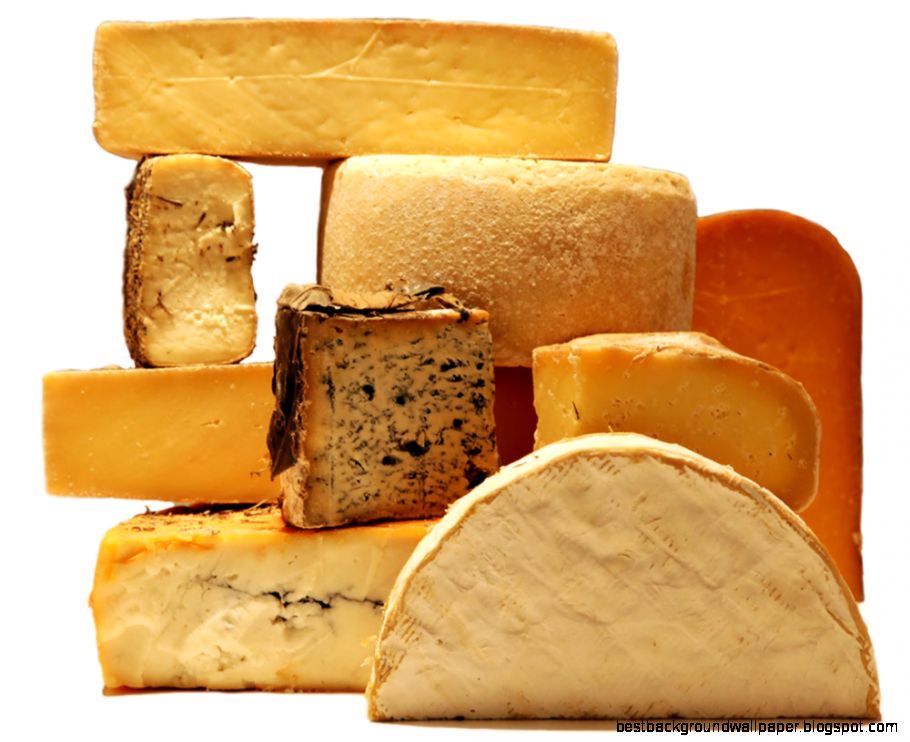 Say Cheese Gastropod Say Cheese Gastropod