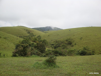 Wagamon Meadows