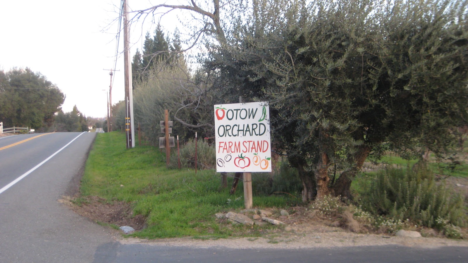 Otow Orchard Fruit Stand Plant Starts for Sale at the Orchard