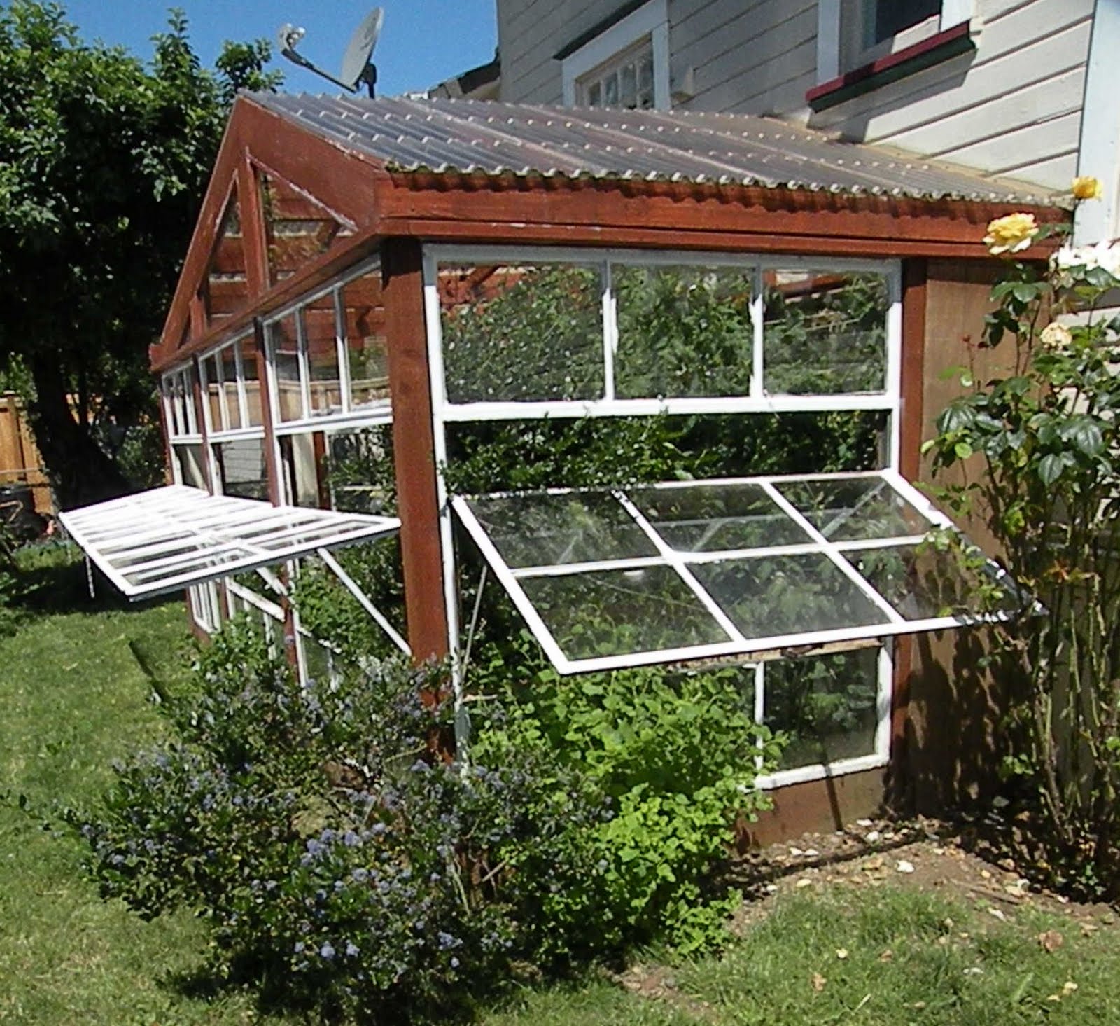 Home Greenhouse