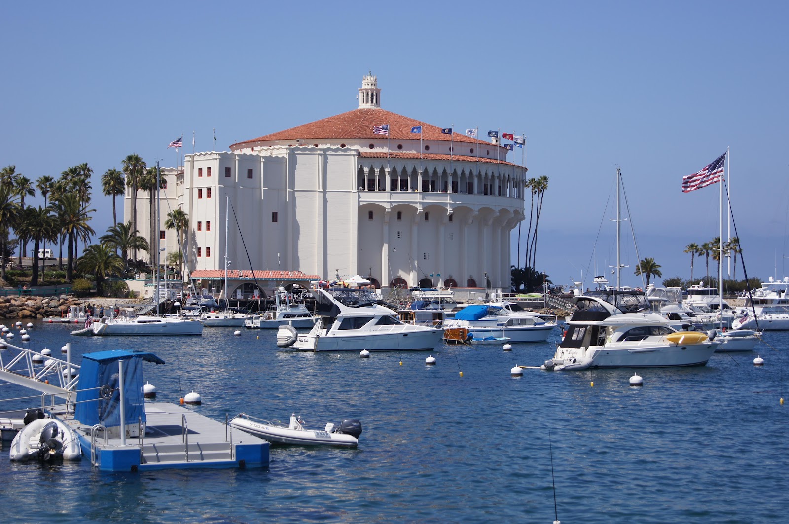 avalon casino avalon casino