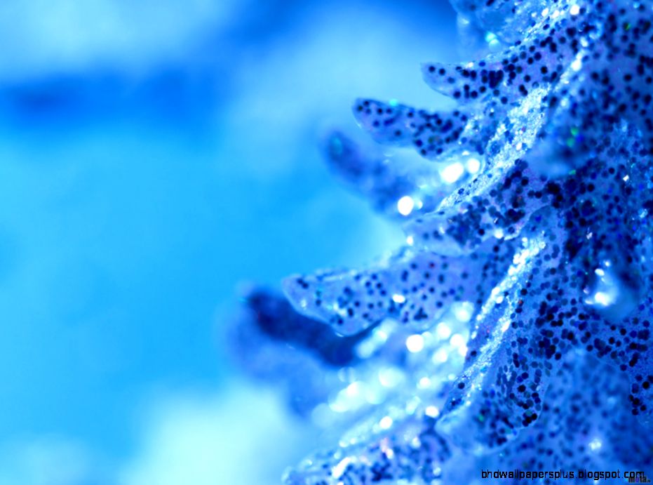 Blue Christmas Tree Desktop Blue Christmas Tree Desktop
