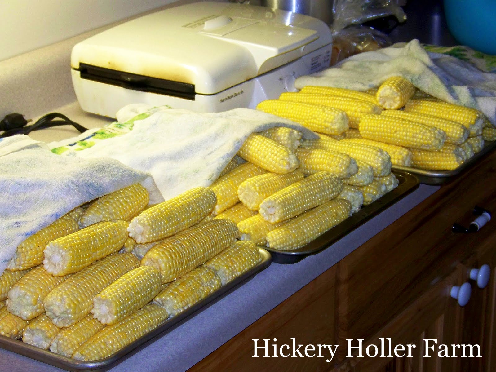 Hickery Holler Farm Canning Corn