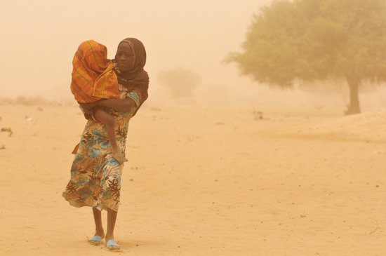 Africa: Drought affects food crops as millions go hungry. Africa: Drought affects food crops as millions go hungry.