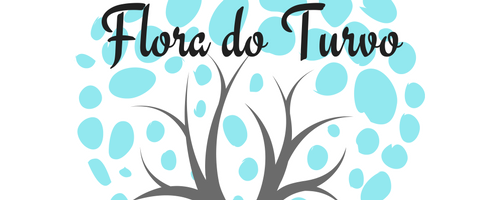 Flora do Turvo