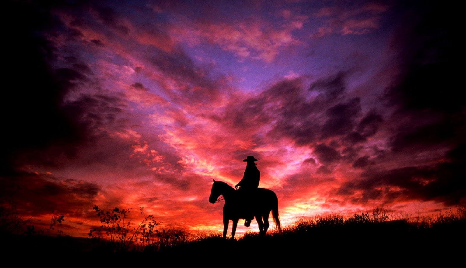 Cowboy Horse Sunset Cowboy Horse Sunset
