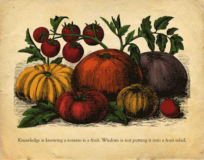 illustration of tomatoes text knowledge is knowing a tomato is fruit
