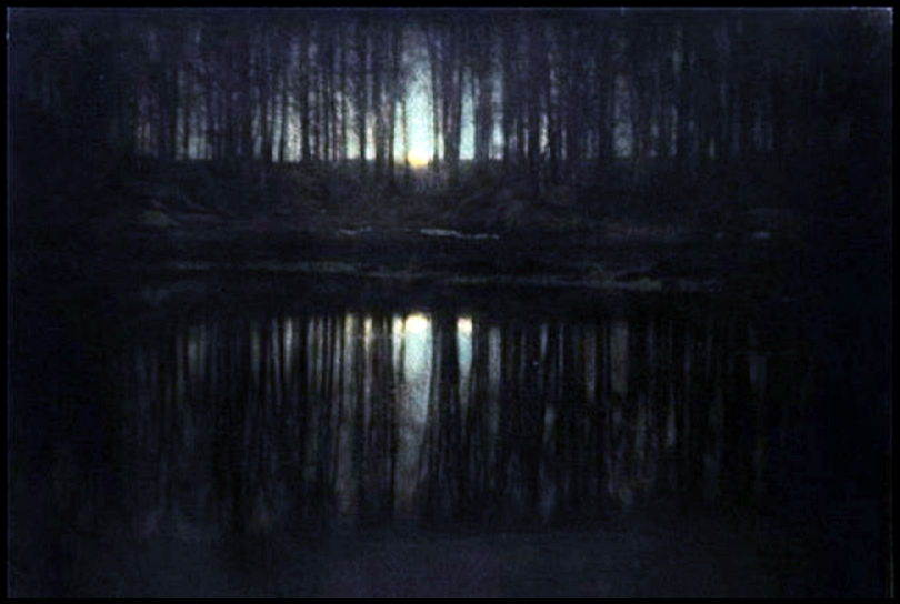 The Pond Moonlight