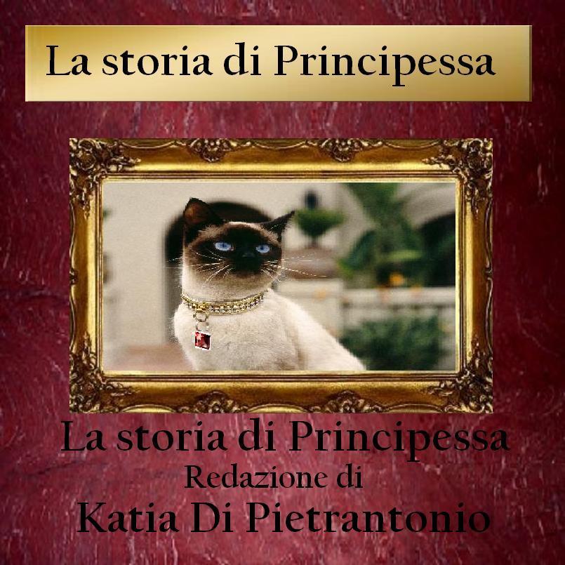La storia di Principessa