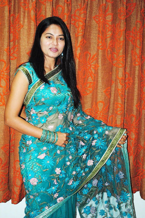 suhasini saree suhasini transparent saree glamour  images