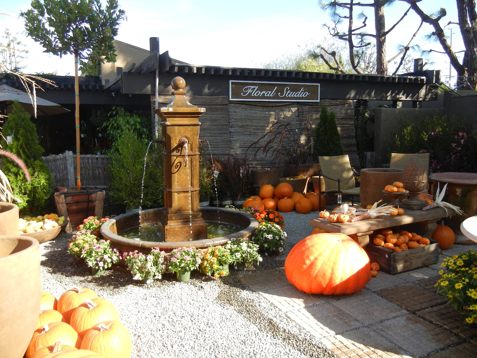 My Painted Garden Let's Take a Fall Tour of Rogers Gardens