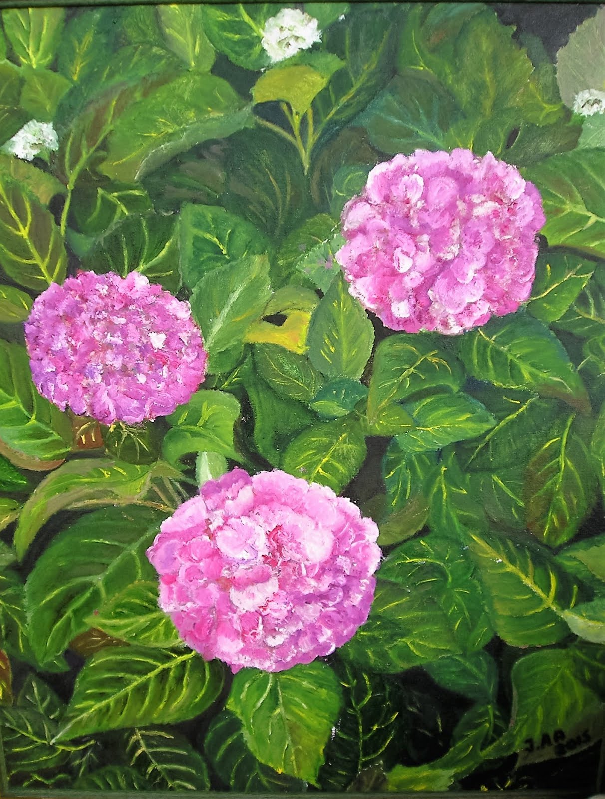 Hortensias, óleo