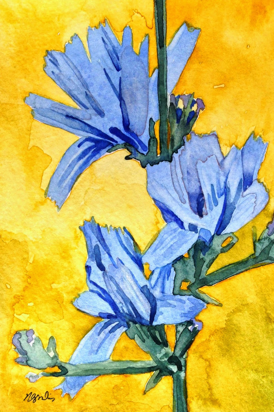 My Many Impressions Cornflower Blues