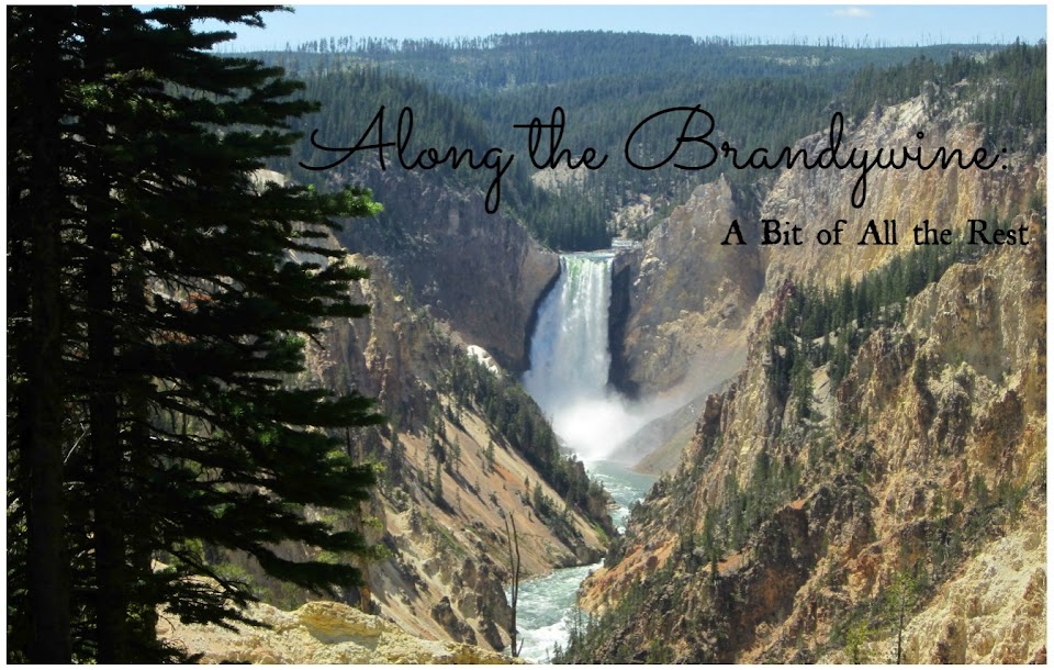 Along the Brandywine Movie Review Cinderella (2015) with Lily James