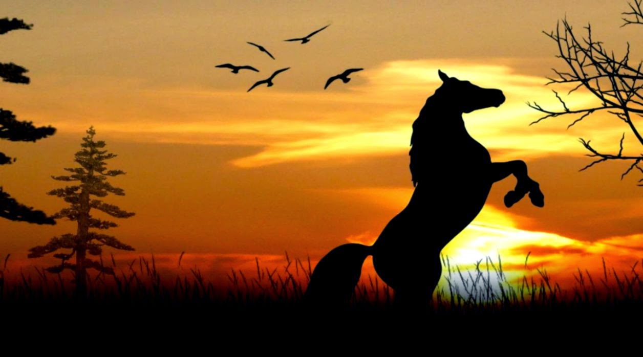 Animals For gt Horse Sunset Wallpaper Animals For gt Horse Sunset Wallpaper