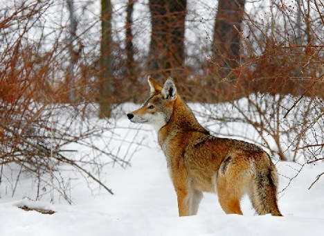 Mind Over Matter Movement Mind Over Matter Movement