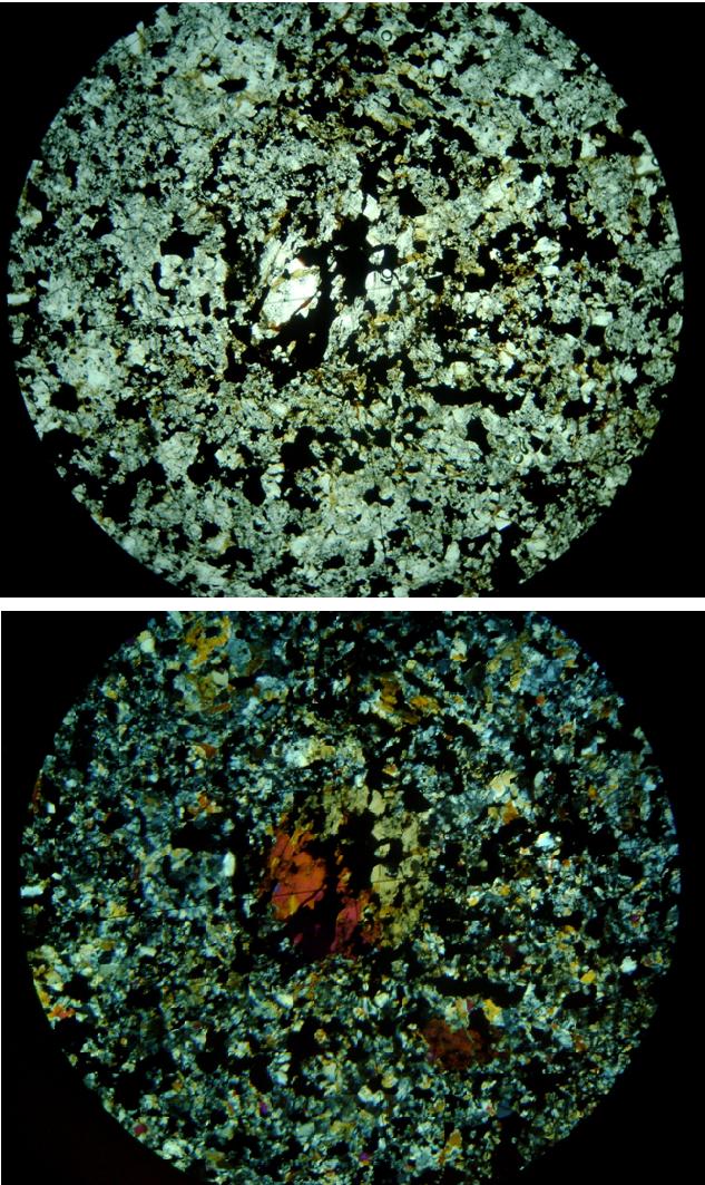 Relic chondrule