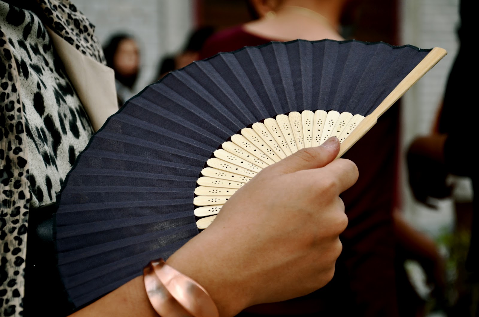 Fan Me