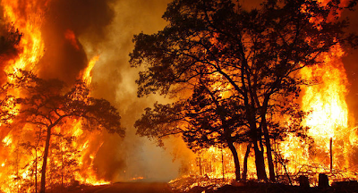 .+Kebakaran 10 Bencana Alam Paling Mengerikan dan Sangat Menakutkan di Dunia