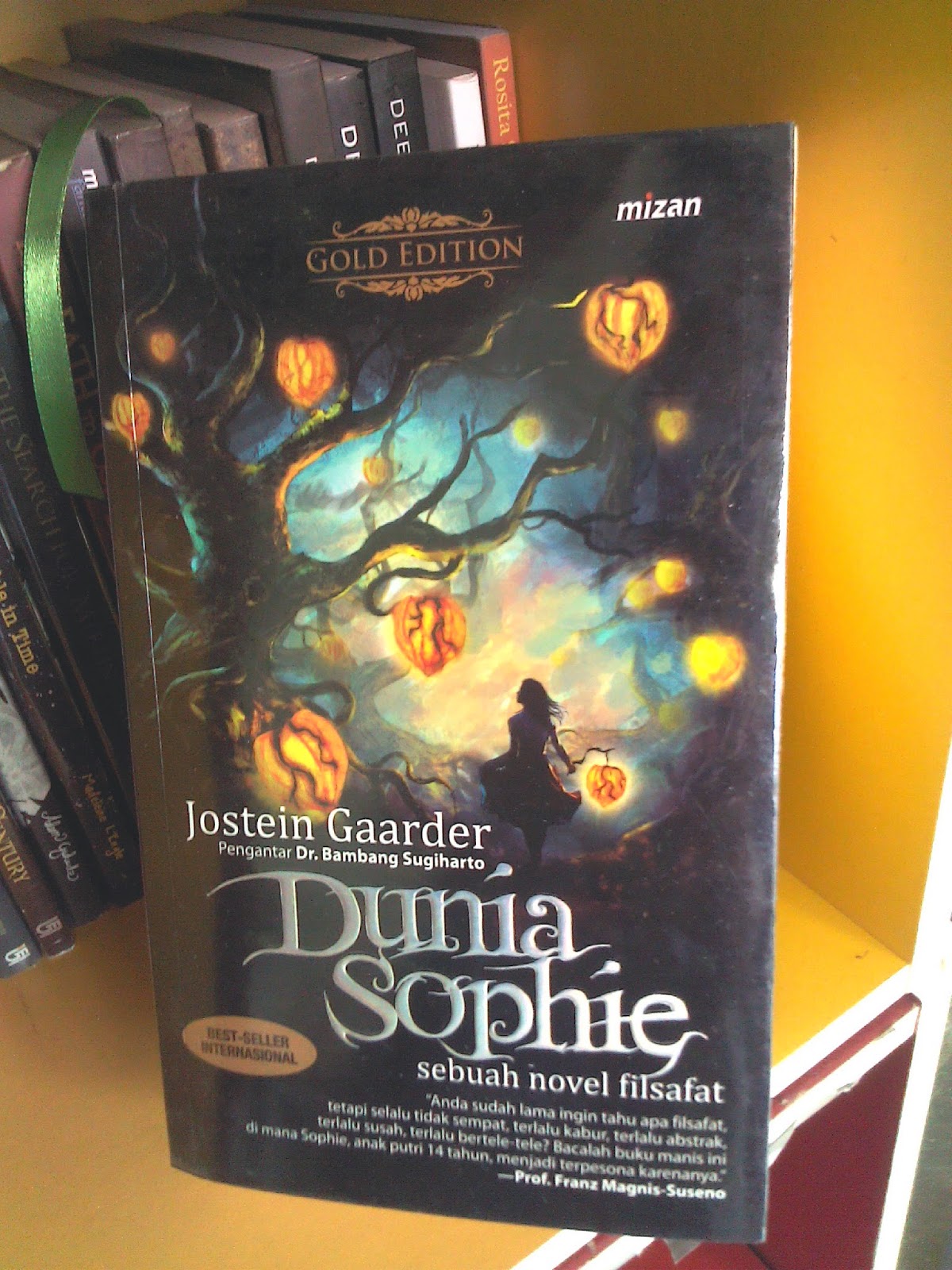 Resensi Buku Dunia Sophie