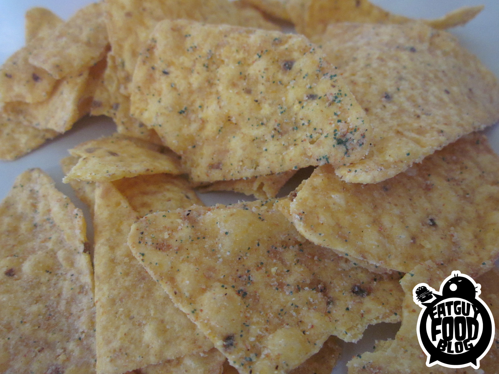 FATGUYFOODBLOG Sour Cream & Onion Doritos?!