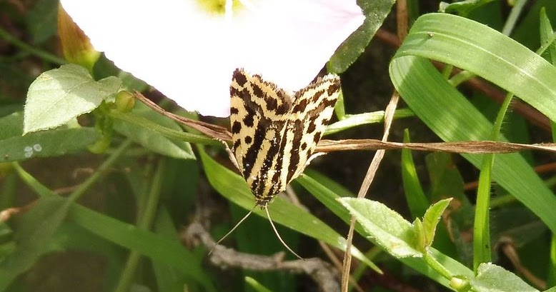 Naturwanderin Essen Ist Fertig