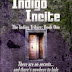 Cover Reveal: Indigo Infinity (Indigo Trilogy #3) By Jacinda Buchmann  
