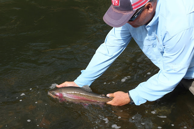 Flyfishing%2Bin%2BColorado%2Bwith%2BJay%2BScott%2BOutdoors%2BPodcast%2B15.JPG