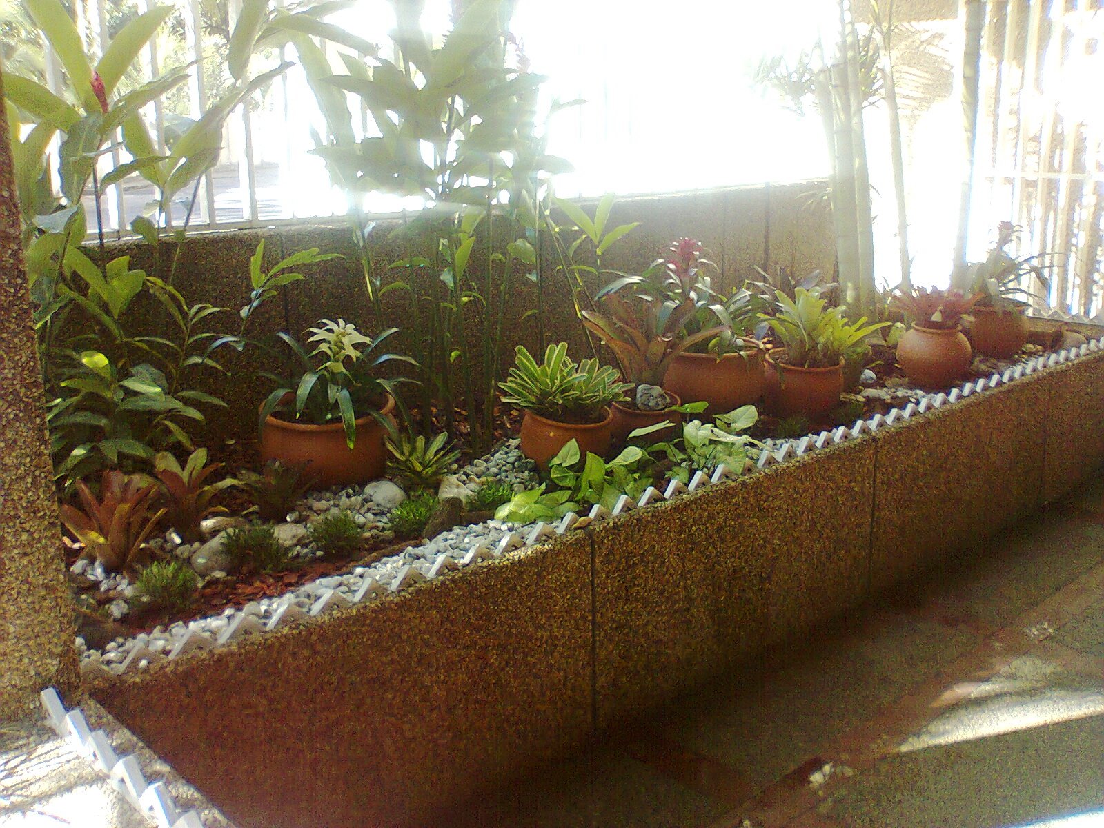 Jardinería e Imagen: Renovación de un jardín interior en la Residencia