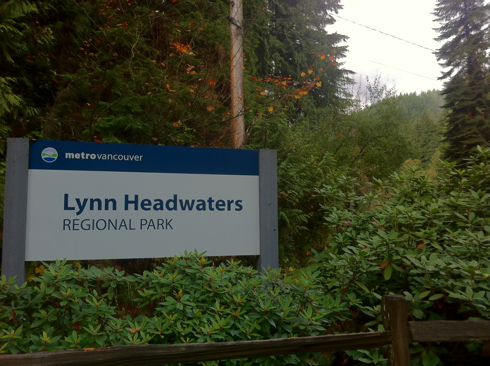 Sail Away: MY BACKYARD