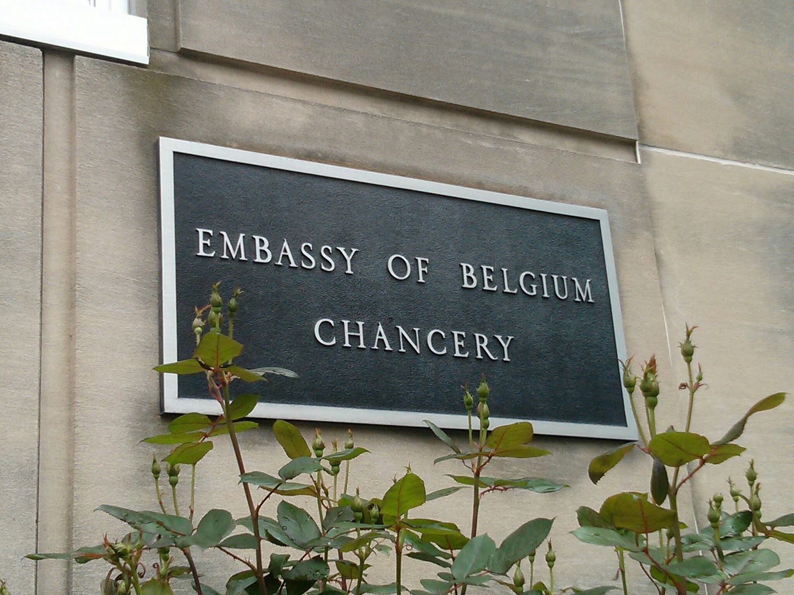 DC Belgian Embassy Open House Explore This City