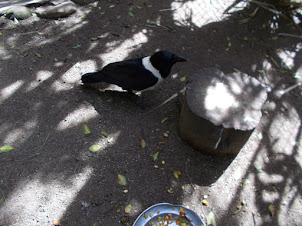 "World of Birds" in Cape town.