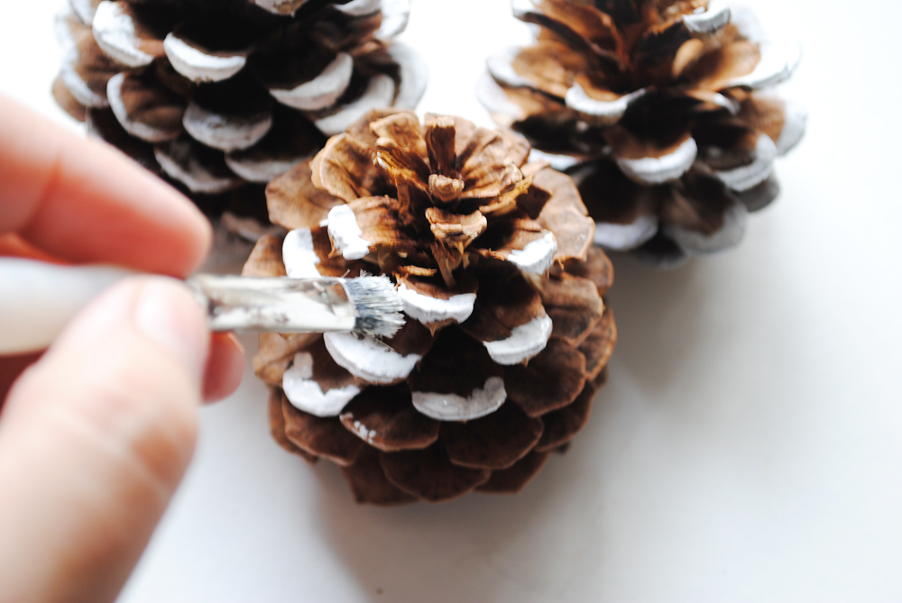 Peachy Cheek Painted Pine Cones