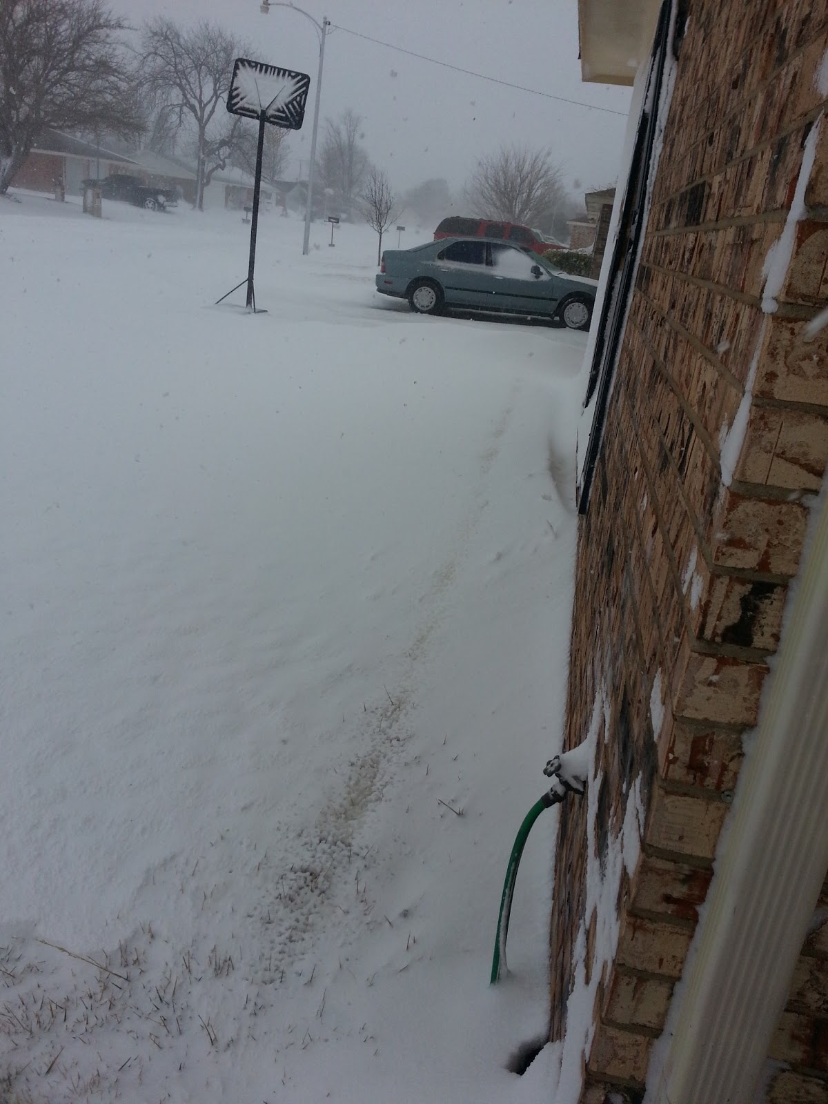 True Confessions of a Knitaholic The Great Texas Blizzard