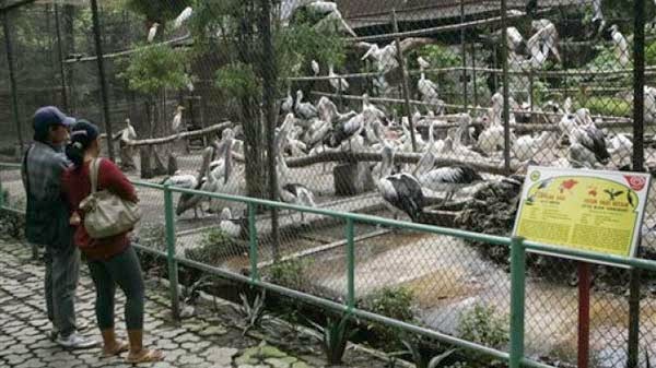 They Call This The “Zoo Of Death”. And Here's Exactly Why It Needs To Be Shut Down