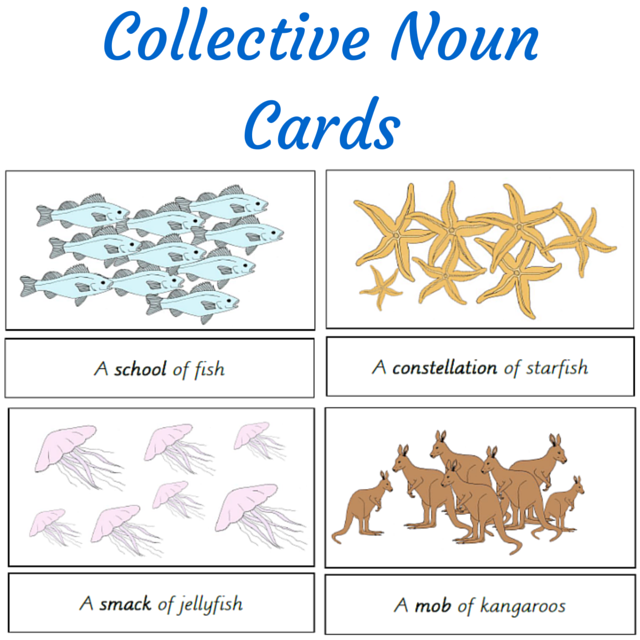 What Is The Collective Noun For Cards