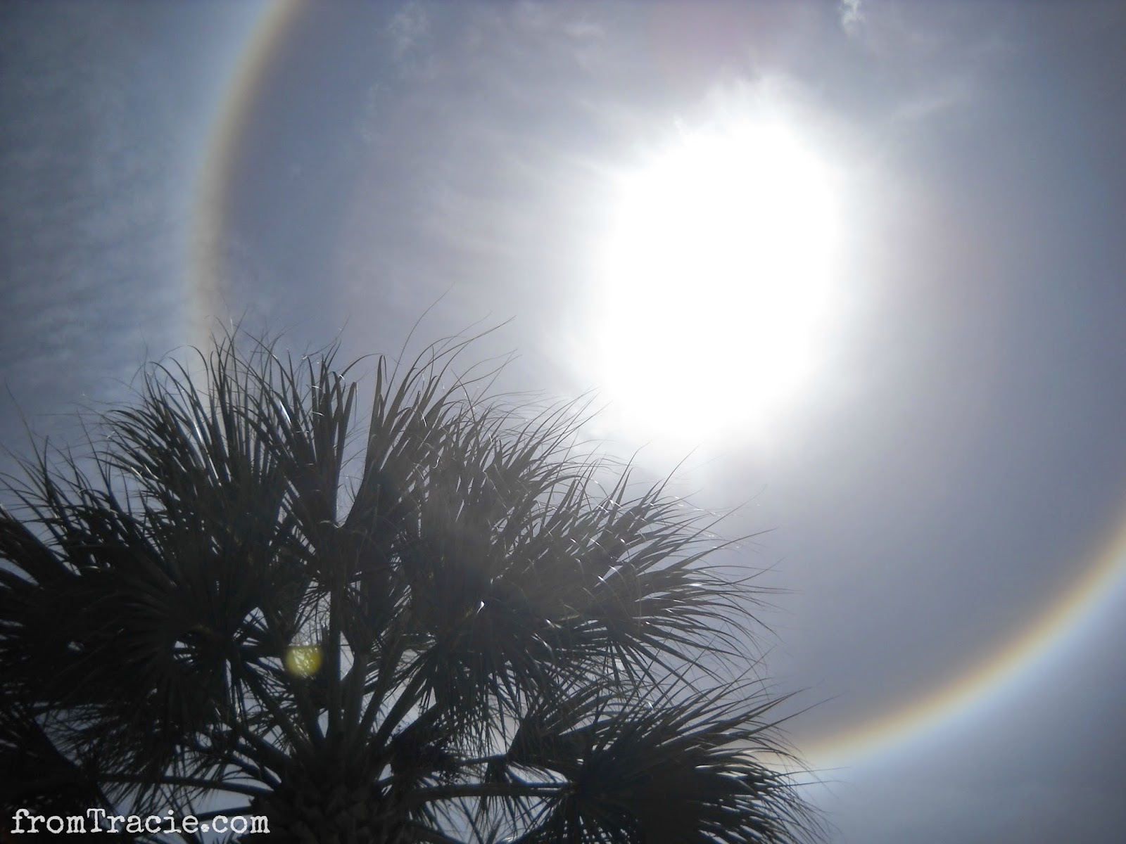 Halo Ring Halo Ring Around The Sun April