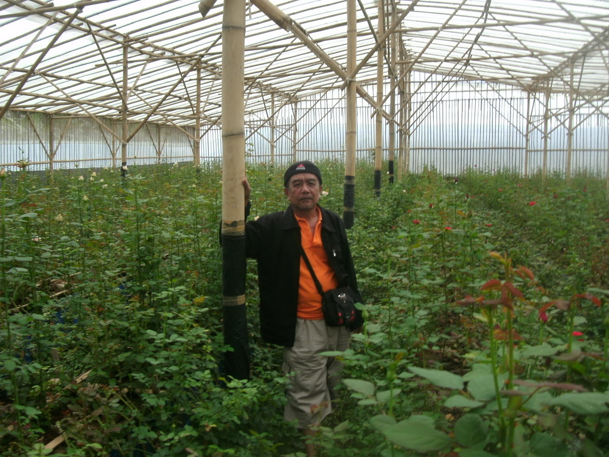 Biaya Pembuatan Green House