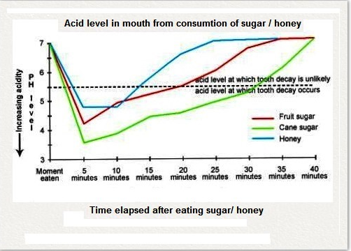 Everwood princeton essay 06 picture
