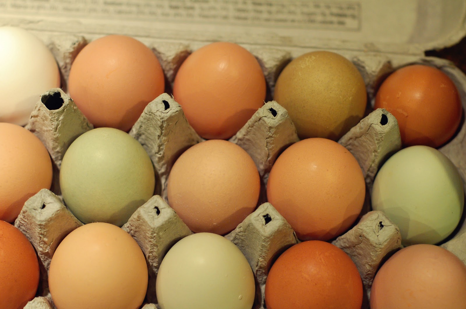 Fresh Eggs and Honey