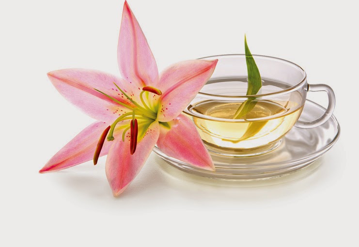 White tea popularity highlights its health benefits! Healthy Tea 101
